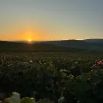 La Galipette, En Champagne Fleury-la-Riviere