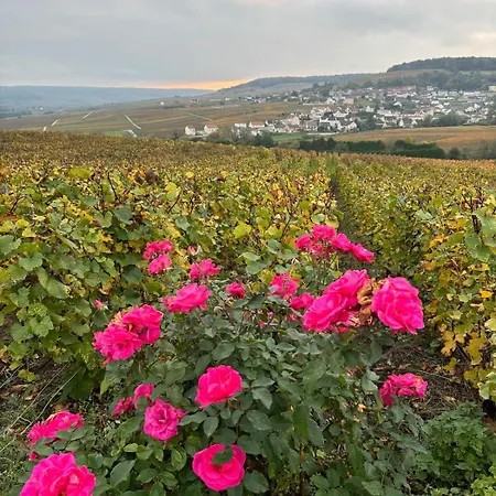 La Galipette, En Champagne