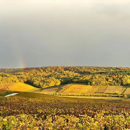 Chalet La Galipette, En Champagne