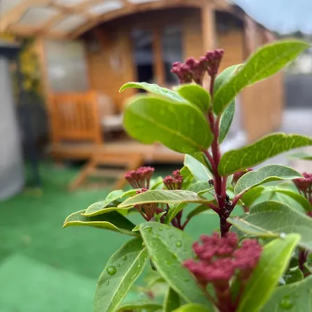Chalet La Galipette, En Champagne Fleury-la-Riviere