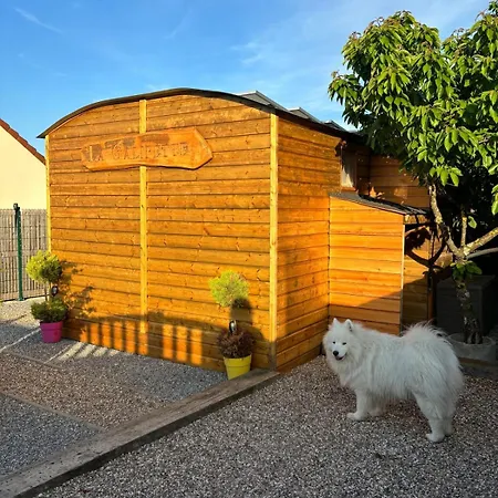 La Galipette, En Champagne *